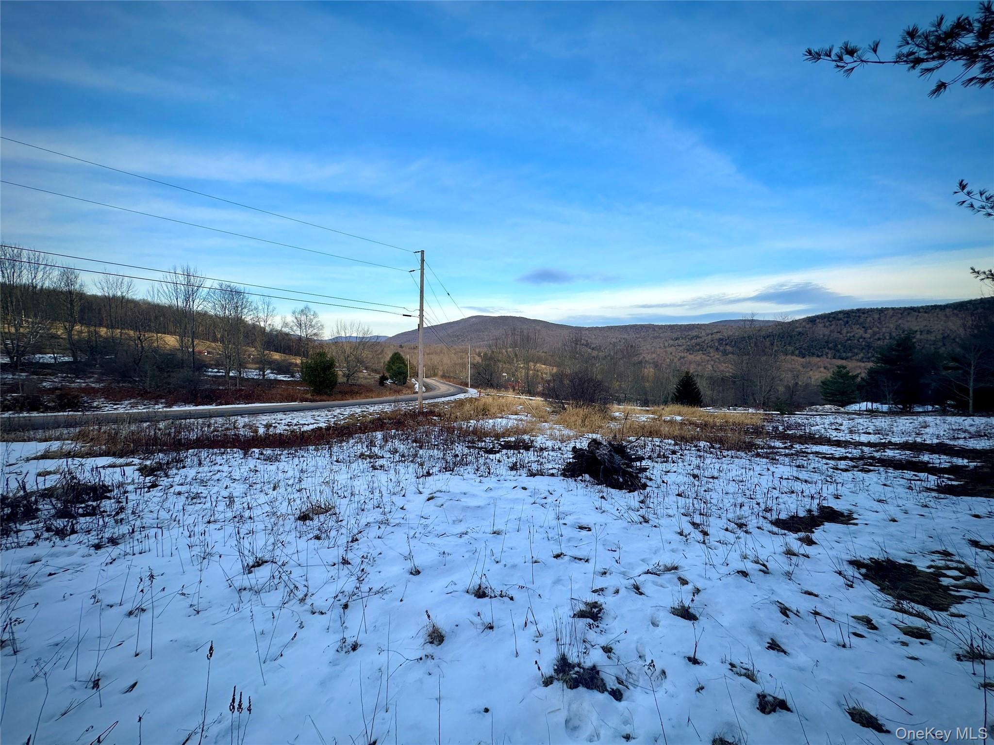 Quail Ridge Road Margaretville, NY 12455 - Photo 29 of 37