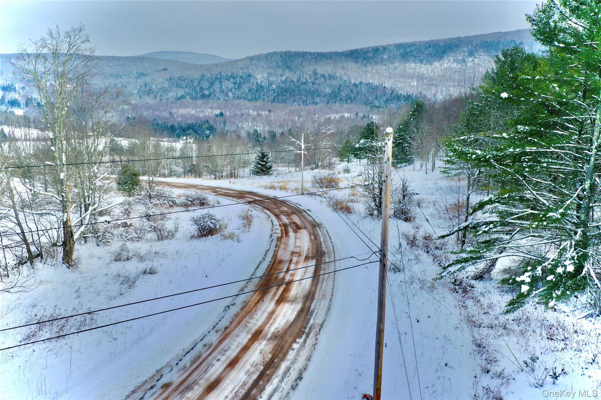 Quail Ridge Road Margaretville, NY 12455 - Photo 3 of 37