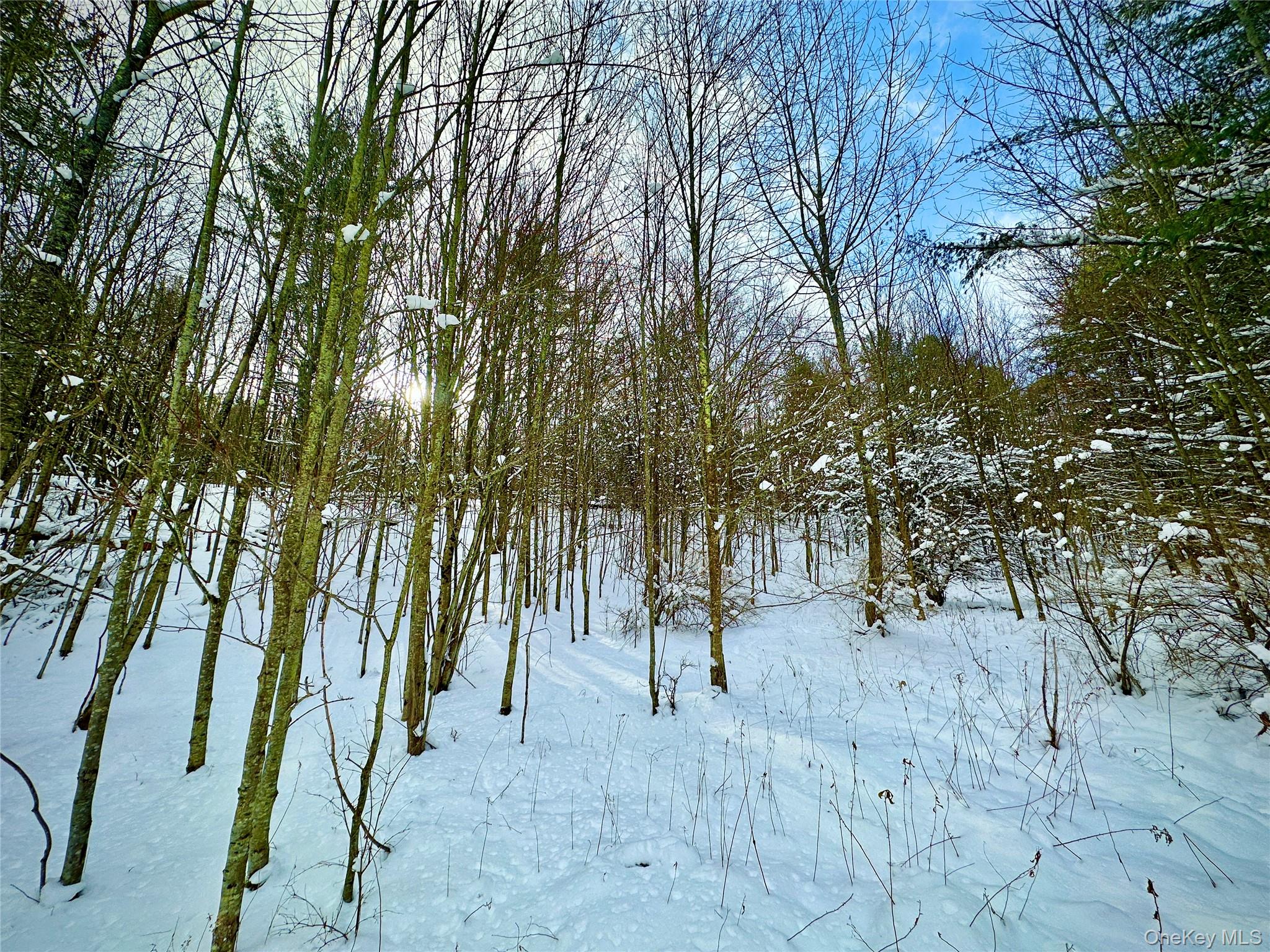 Quail Ridge Road Margaretville, NY 12455 - Photo 31 of 37