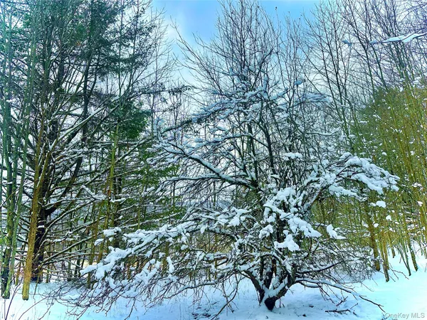 a view of a tree