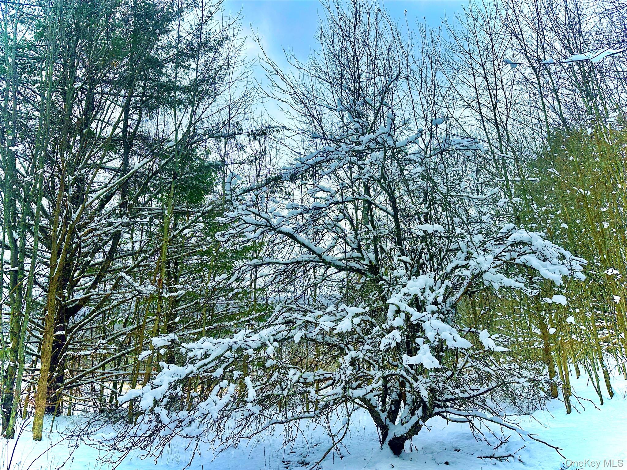 Quail Ridge Road Margaretville, NY 12455 - Photo 32 of 37