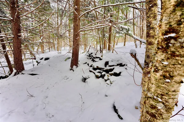 a view of a yard with snow on the road