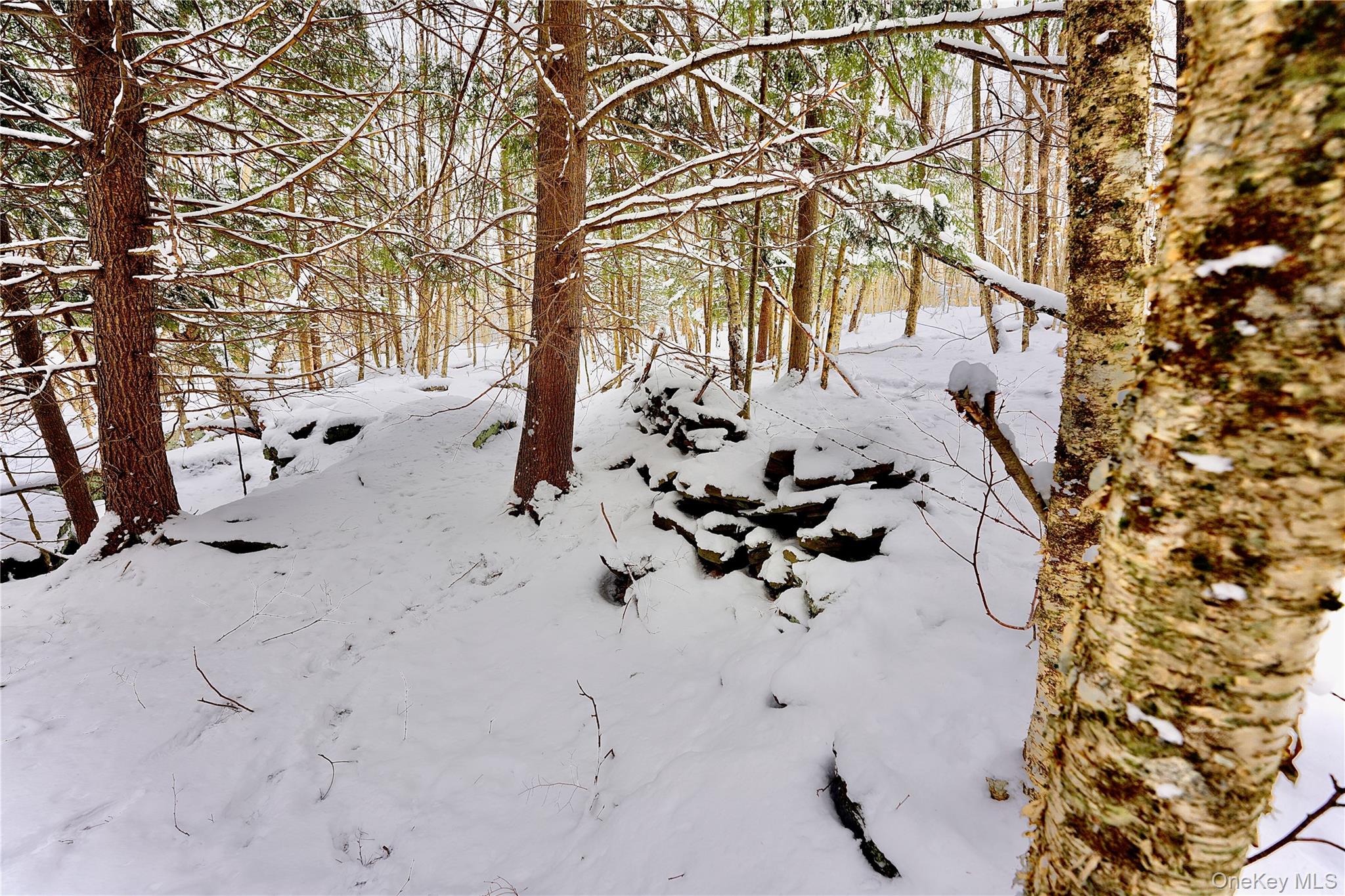 Quail Ridge Road Margaretville, NY 12455 - Photo 33 of 37