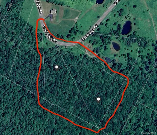 $159,000 | Quail Ridge Road, Margaretville, NY 12455