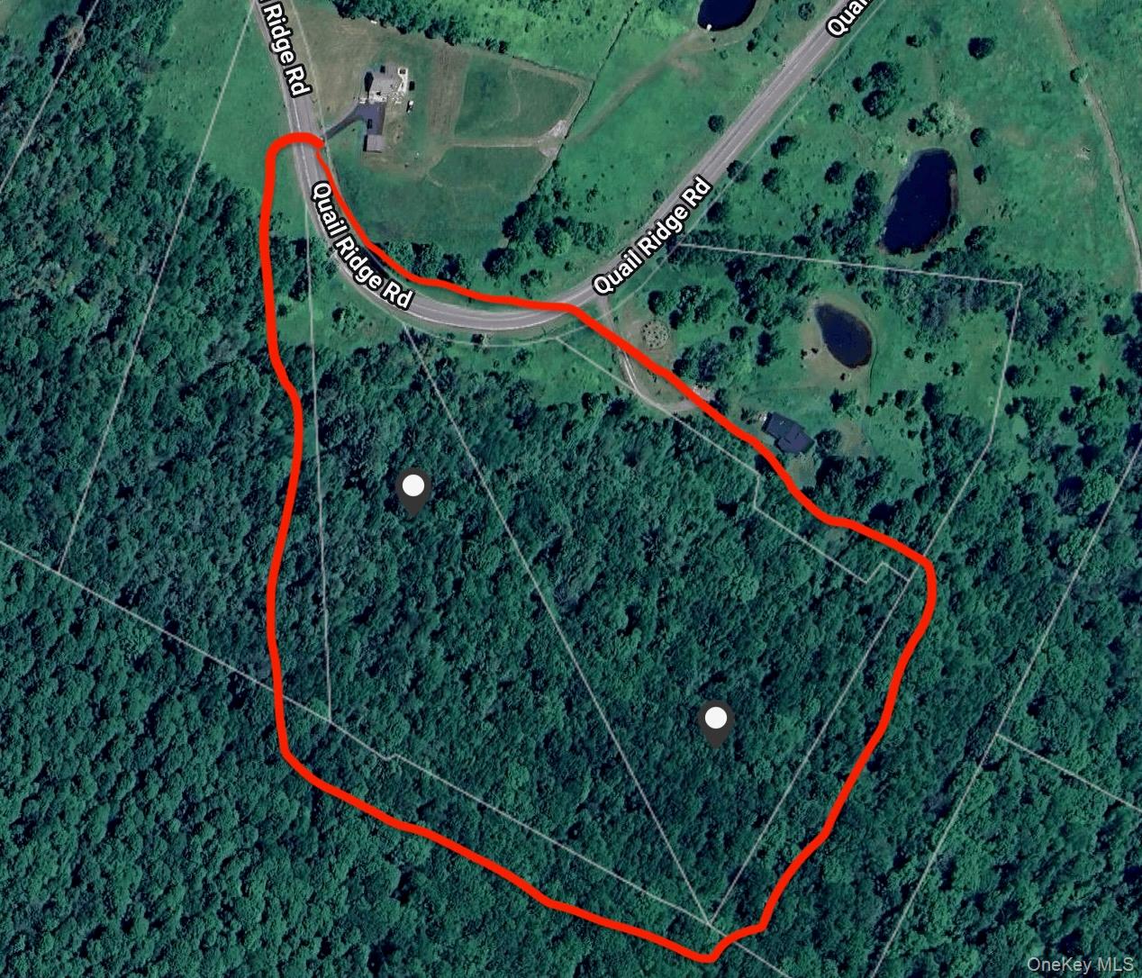 Quail Ridge Road Margaretville, NY 12455 - Photo 37 of 37