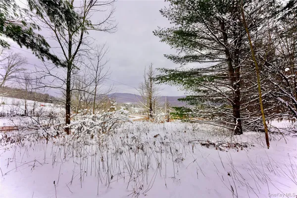 a view of a backyard of the house