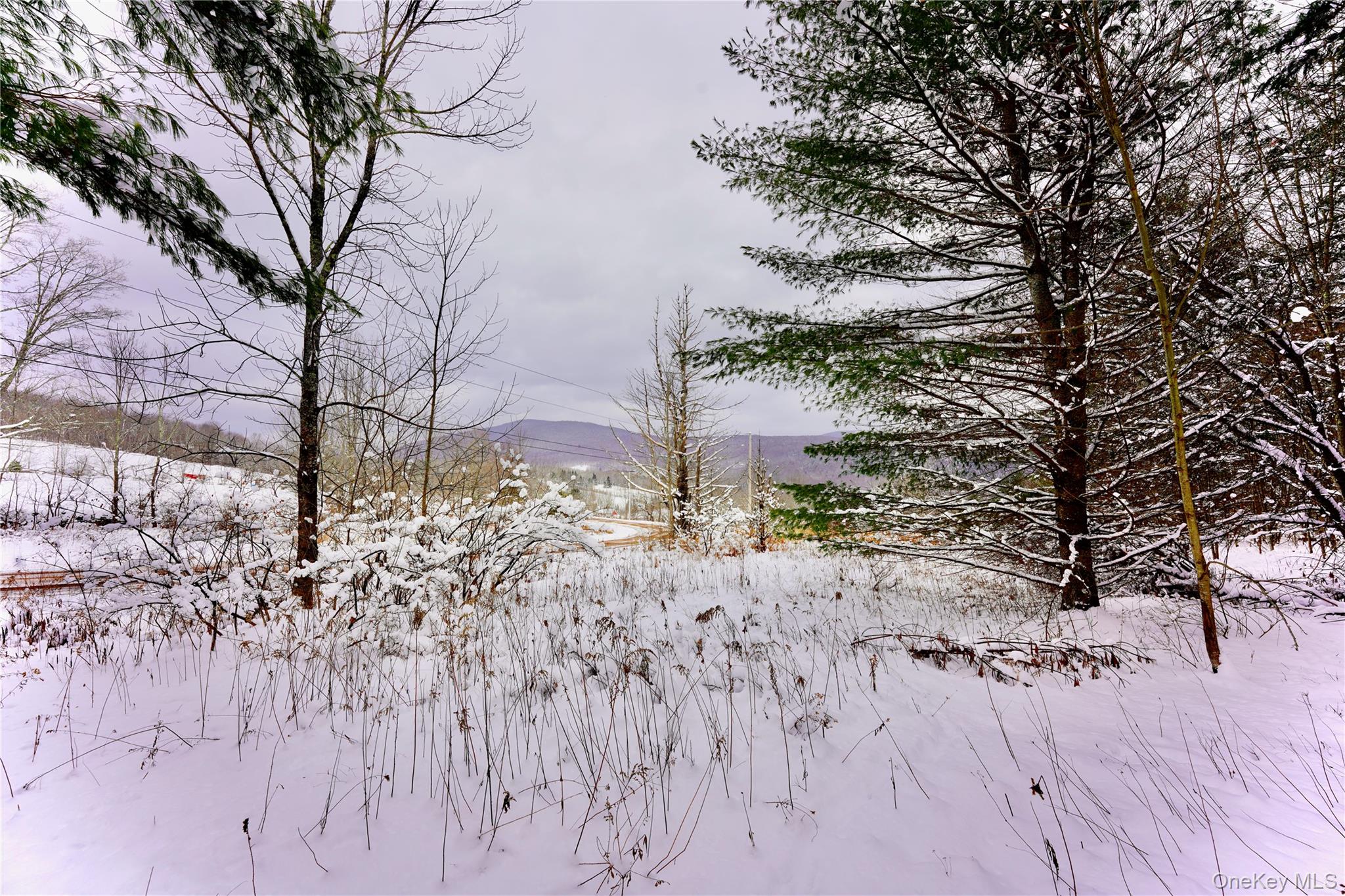 Quail Ridge Road Margaretville, NY 12455 - Photo 4 of 37