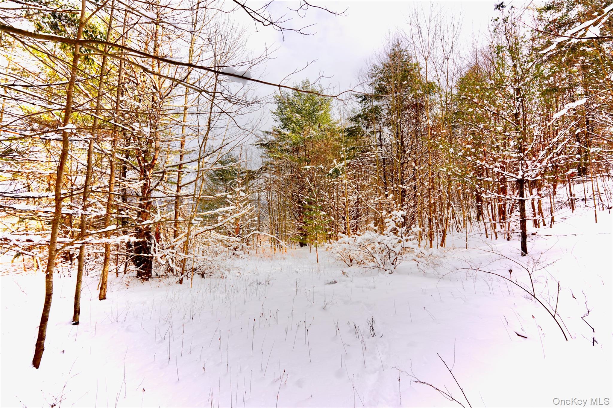 Quail Ridge Road Margaretville, NY 12455 - Photo 6 of 37