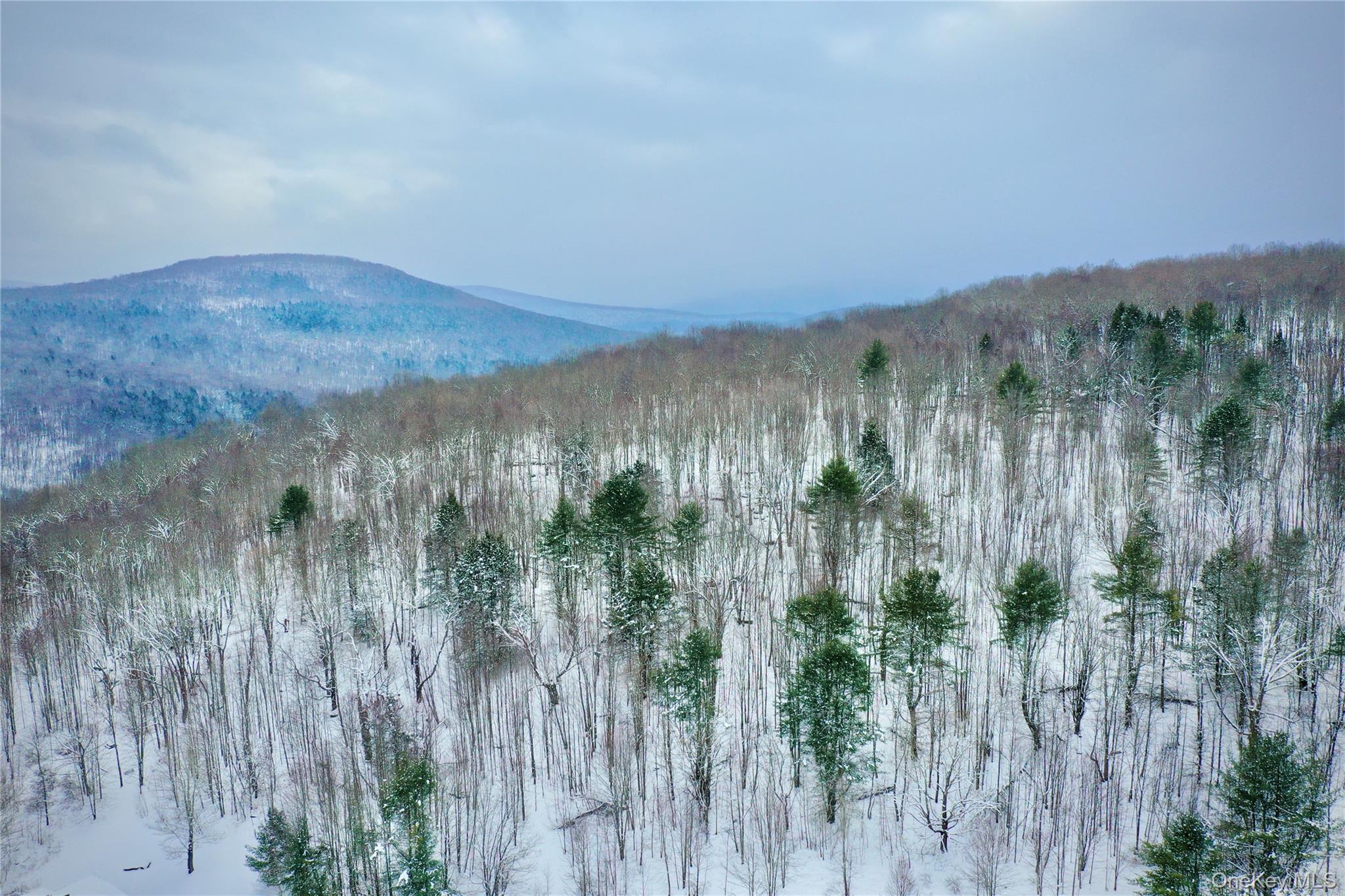 Quail Ridge Road Margaretville, NY 12455 - Photo 9 of 37
