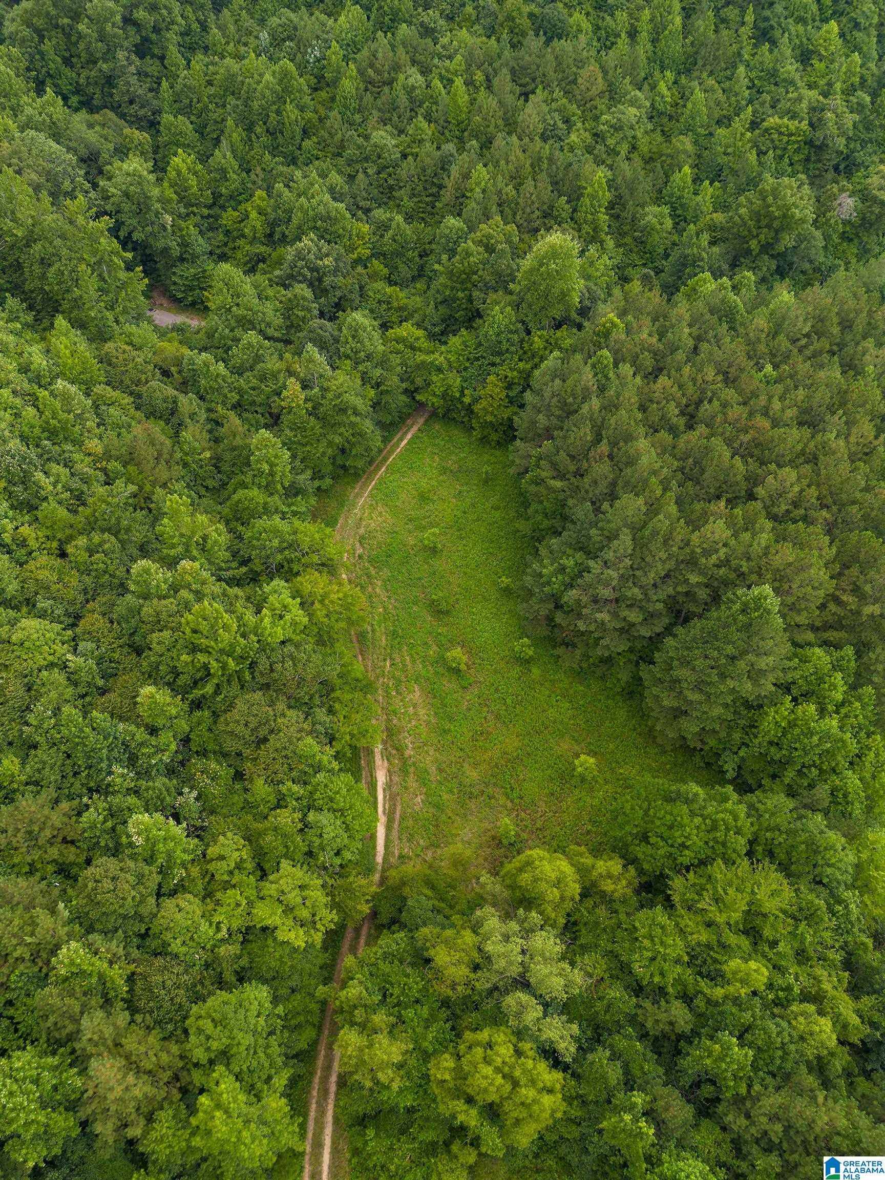 81 Frozen Hollow Road, Unit 32 Carbon Hill, AL 35549 - Photo 23 of 42