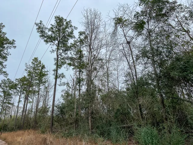 $82,500 | 1 Fm 2626, Newton, TX 75966