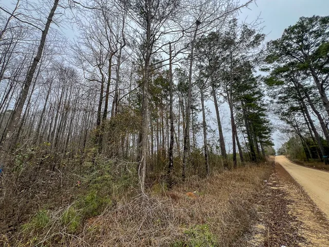 $82,500 | 1 Fm 2626, Newton, TX 75966