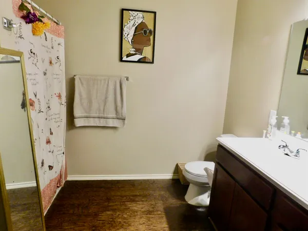 a bathroom with a sink vanity and a toilet