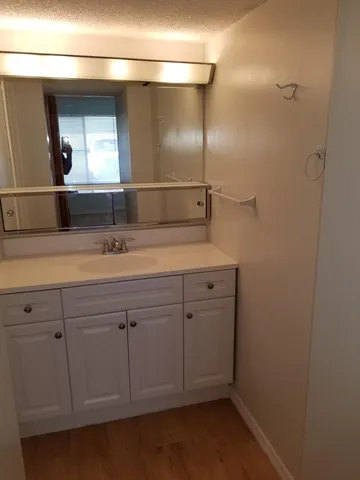 a bathroom with a sink and mirror
