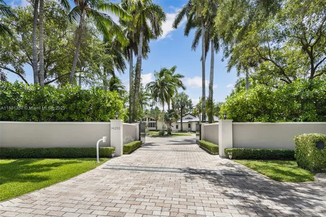 a view of a yard with plants and a palm tree