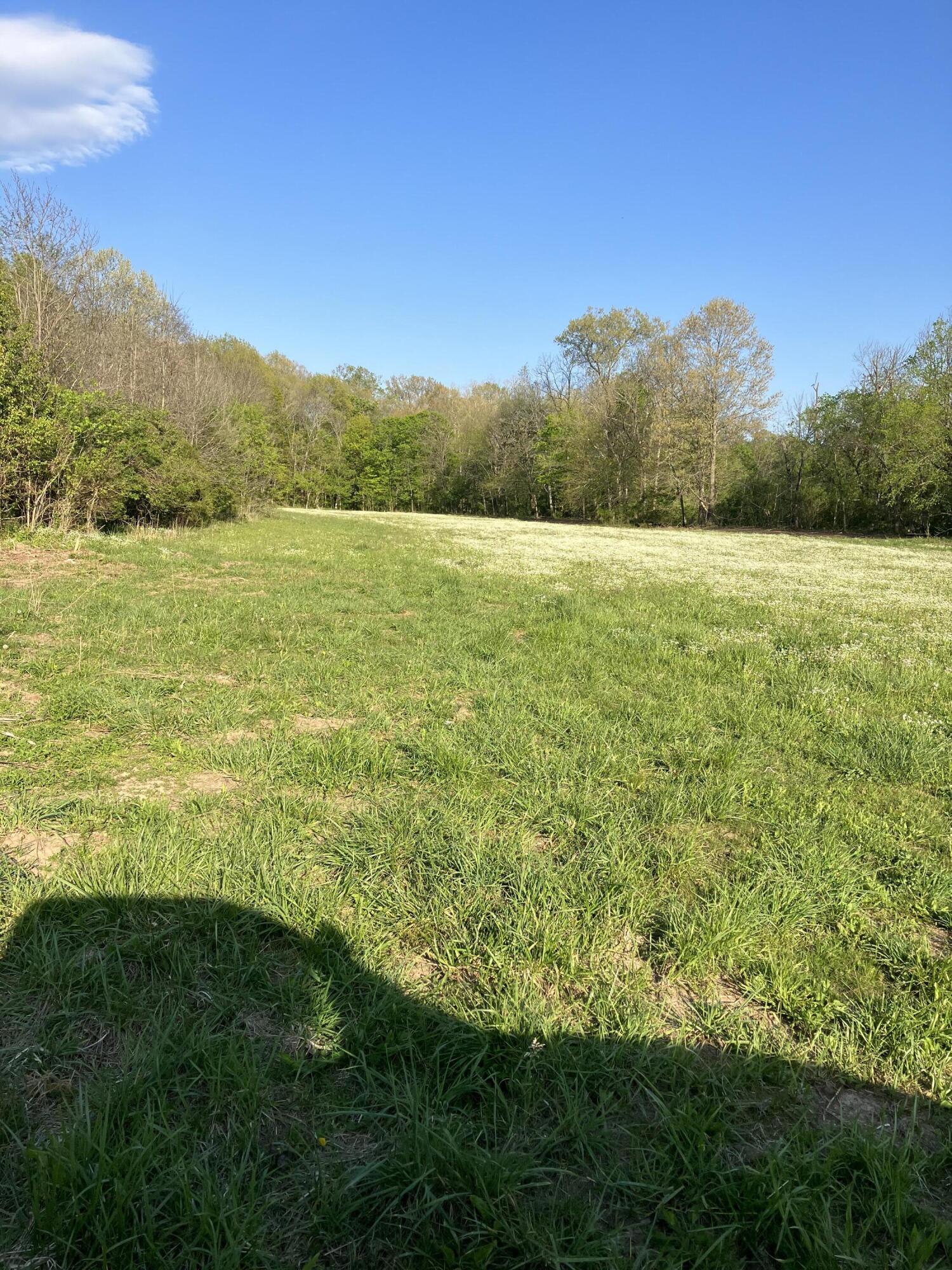1535 Bethany Road Nicholasville, KY 40356 - Photo 2 of 3 Tract 3A