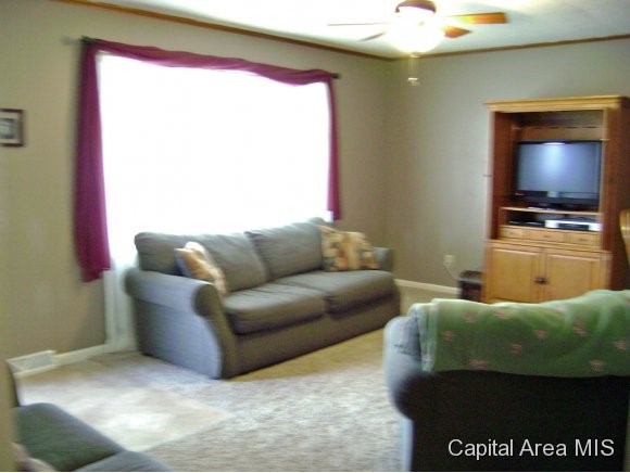 34 Woods Mill Road Sherman, IL 62684 - Photo 5 of 15 Gallery Image 5