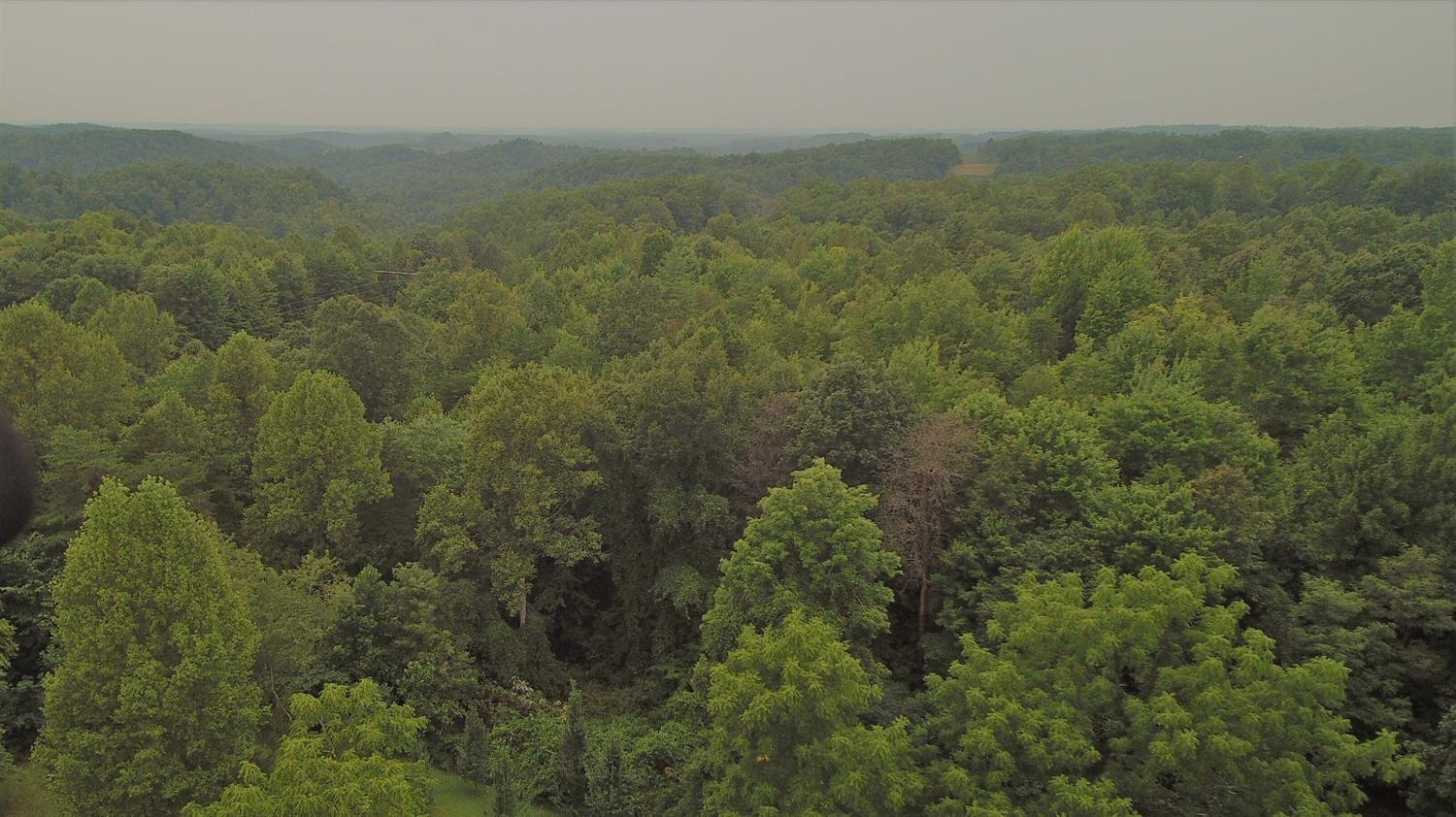 9999 Galimore Road Pine Knot, KY 42635 - Photo 18 of 35 Photo 18