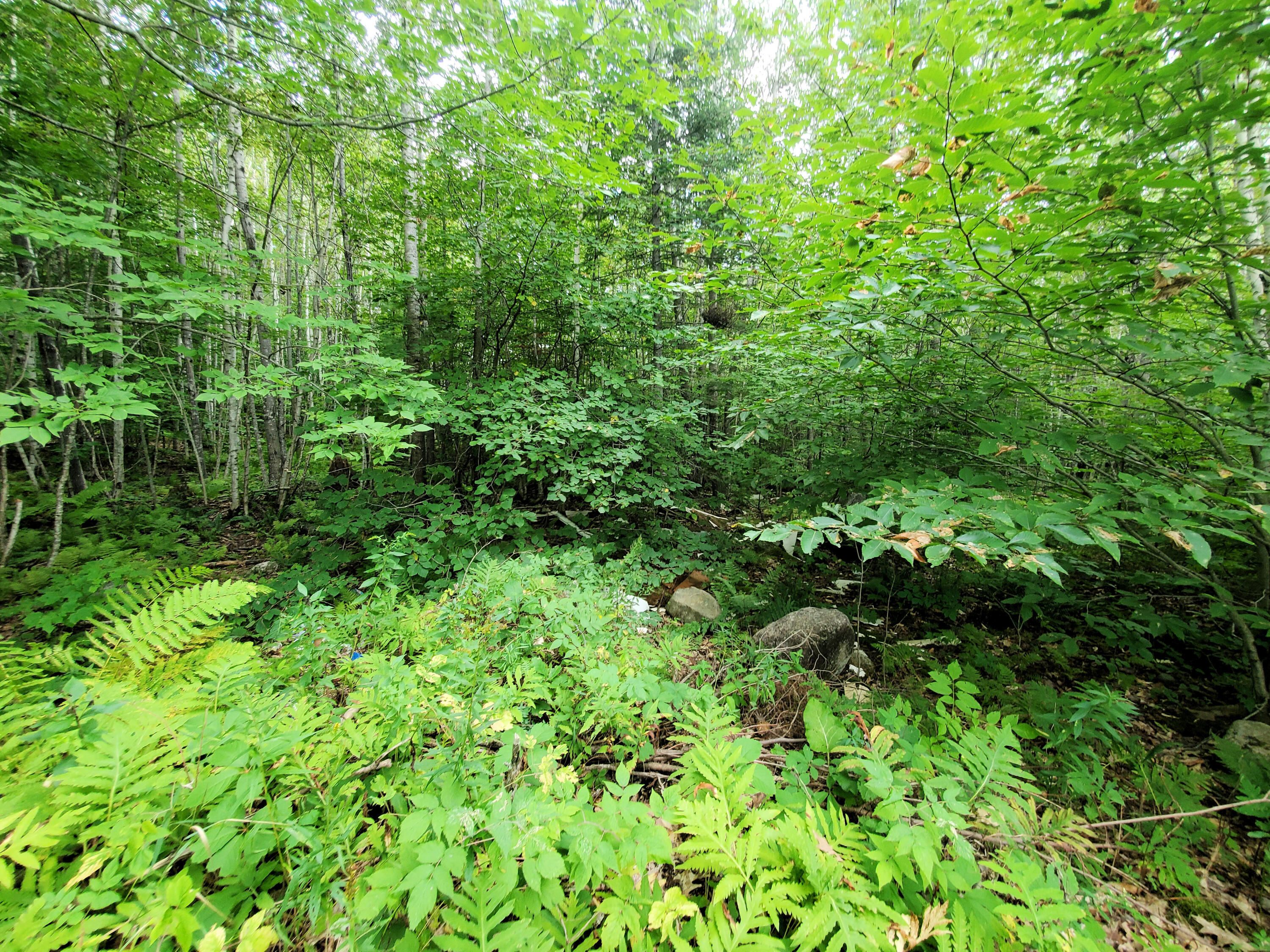 57 Vigue Road Hartland, ME 04943 - Photo 29 of 38 20210831_152600