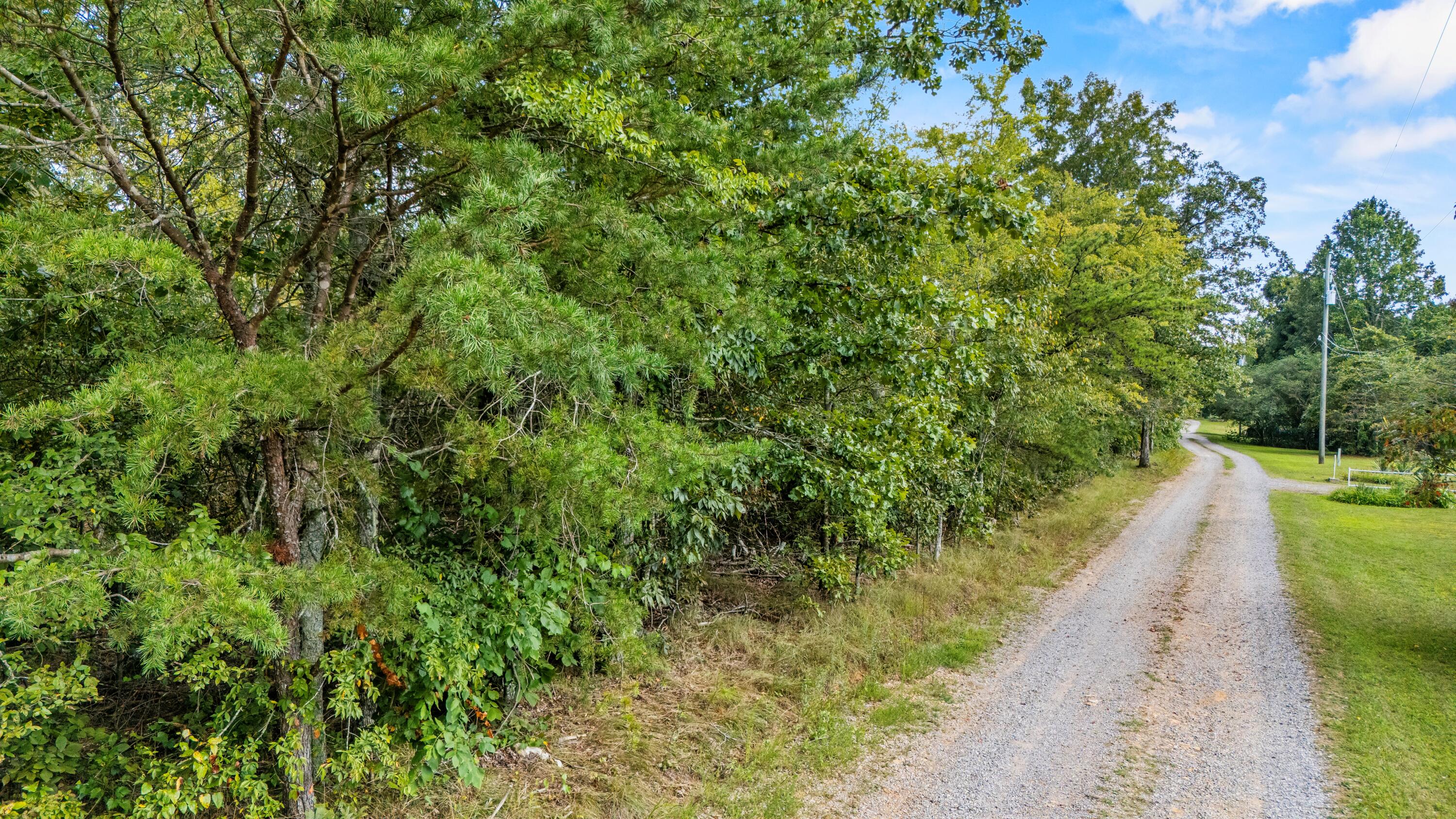 0 Rock Creek Road Trenton, GA 30752 - Photo 1 of 6 land