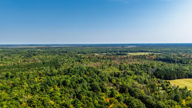 $699,900 | Lt0 Lonesome Road, Vesper, WI 54489