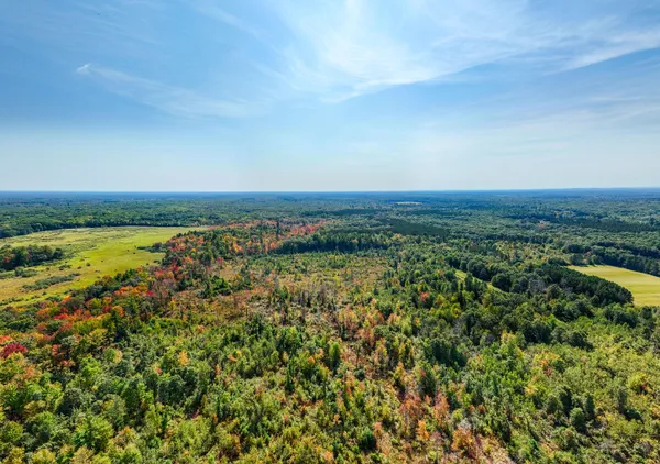 $699,900 | Lt0 Lonesome Road, Vesper, WI 54489