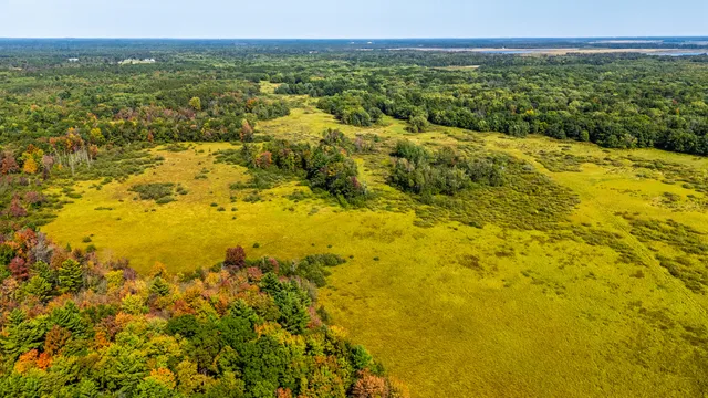 $699,900 | Lt0 Lonesome Road, Vesper, WI 54489