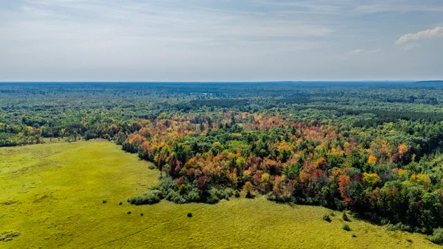 $699,900 | Lt0 Lonesome Road, Vesper, WI 54489