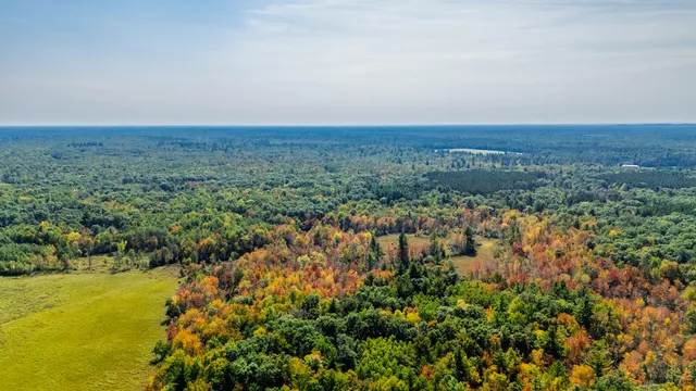 $699,900 | Lt0 Lonesome Road, Vesper, WI 54489