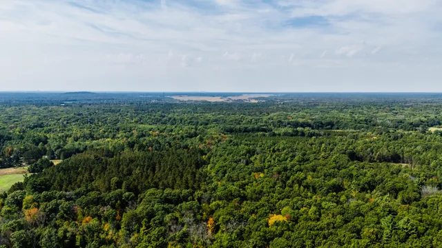 $699,900 | Lt0 Lonesome Road, Vesper, WI 54489