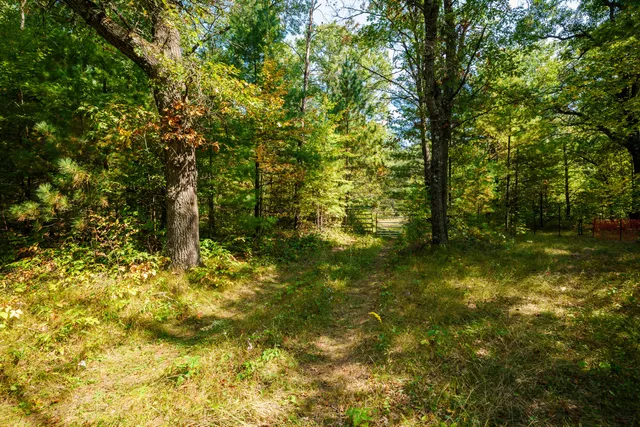 $699,900 | Lt0 Lonesome Road, Vesper, WI 54489