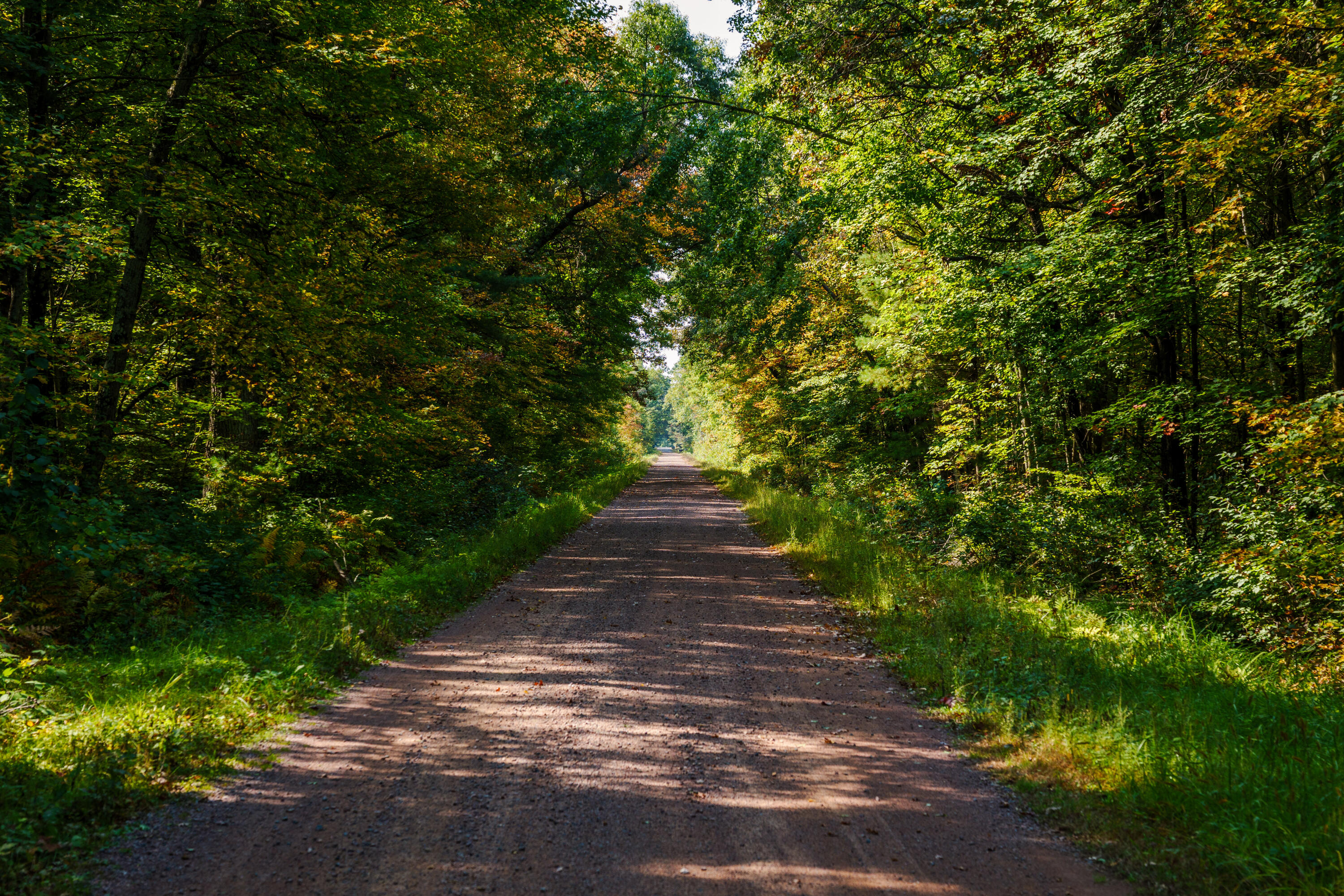 Lt0 Lonesome Road Vesper, WI 54489 - Photo 8 of 33 Town of Dexter Prpty-012