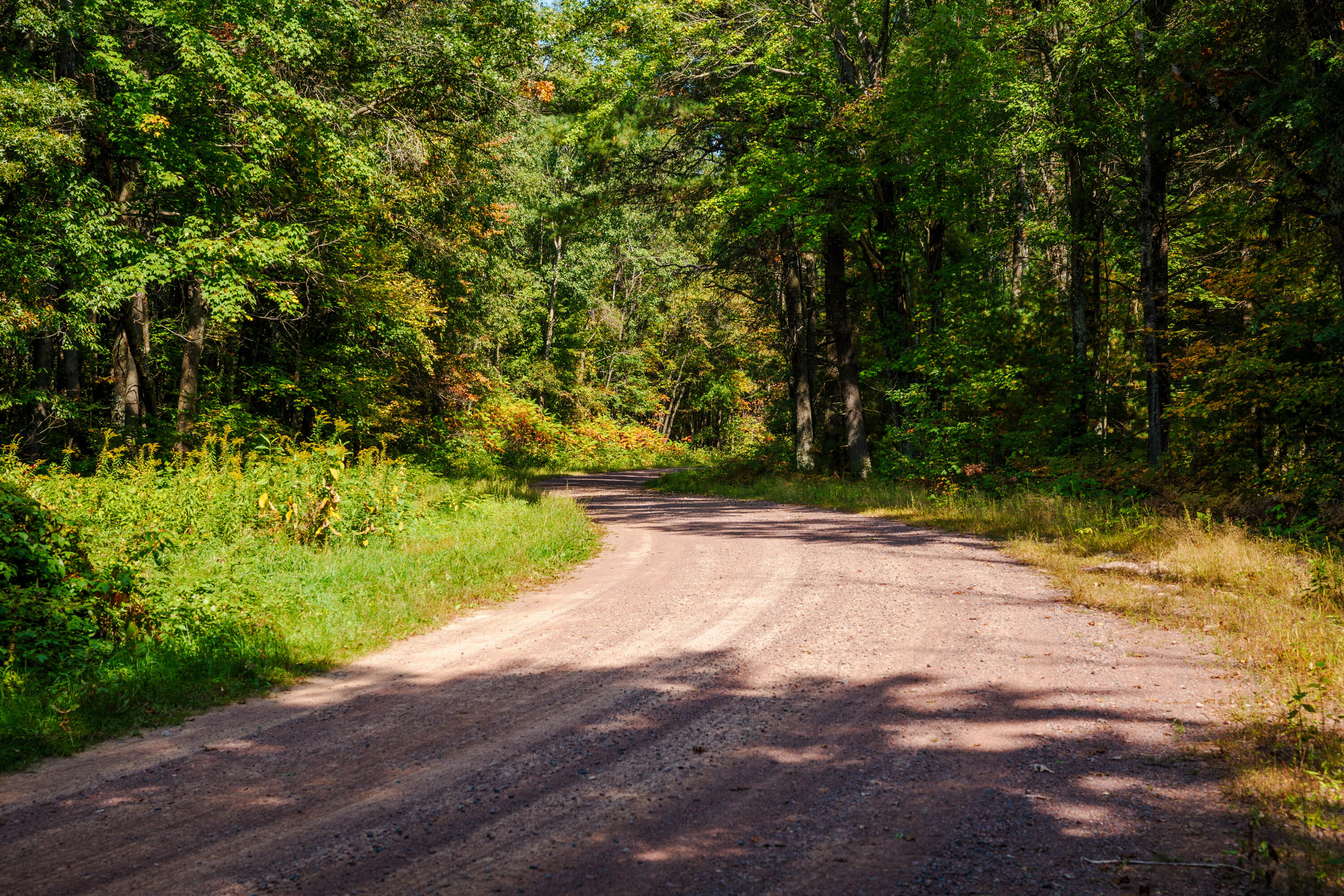 Lt0 Lonesome Road Vesper, WI 54489 - Photo 9 of 33 Town of Dexter Prpty-013