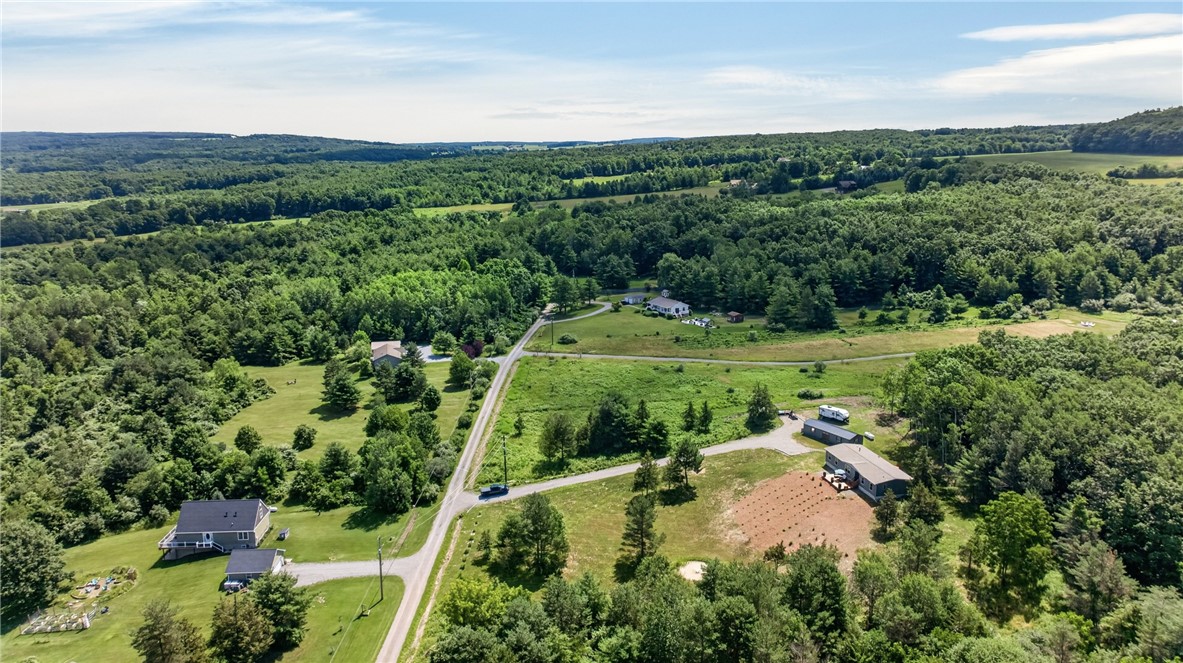 9286 Keuka Highland Road Wayne, NY 14840 - Photo 45 of 48