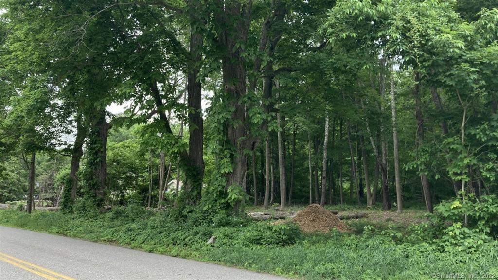 1 Wells Woods Road Columbia, CT 06237 - Photo 1 of 12 a view of outdoor space and yard