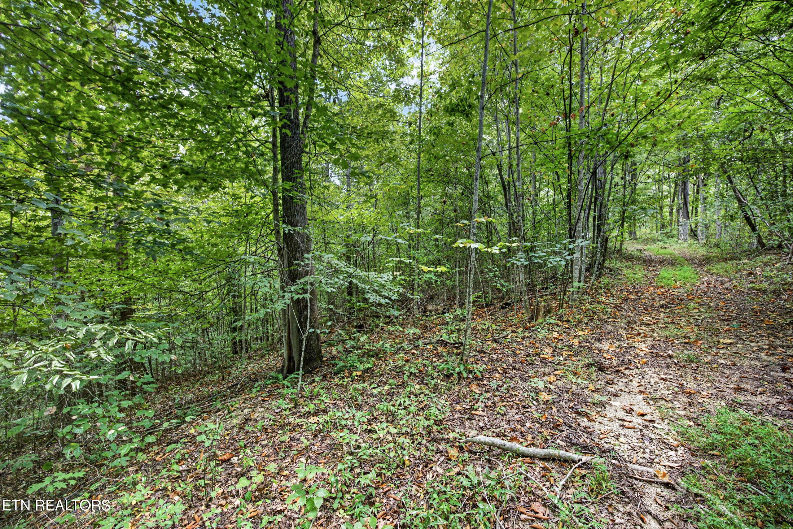 Lot 25 Timber Ridge Lane Celina, TN 38551 - Photo 1 of 12 10-8N5A6579