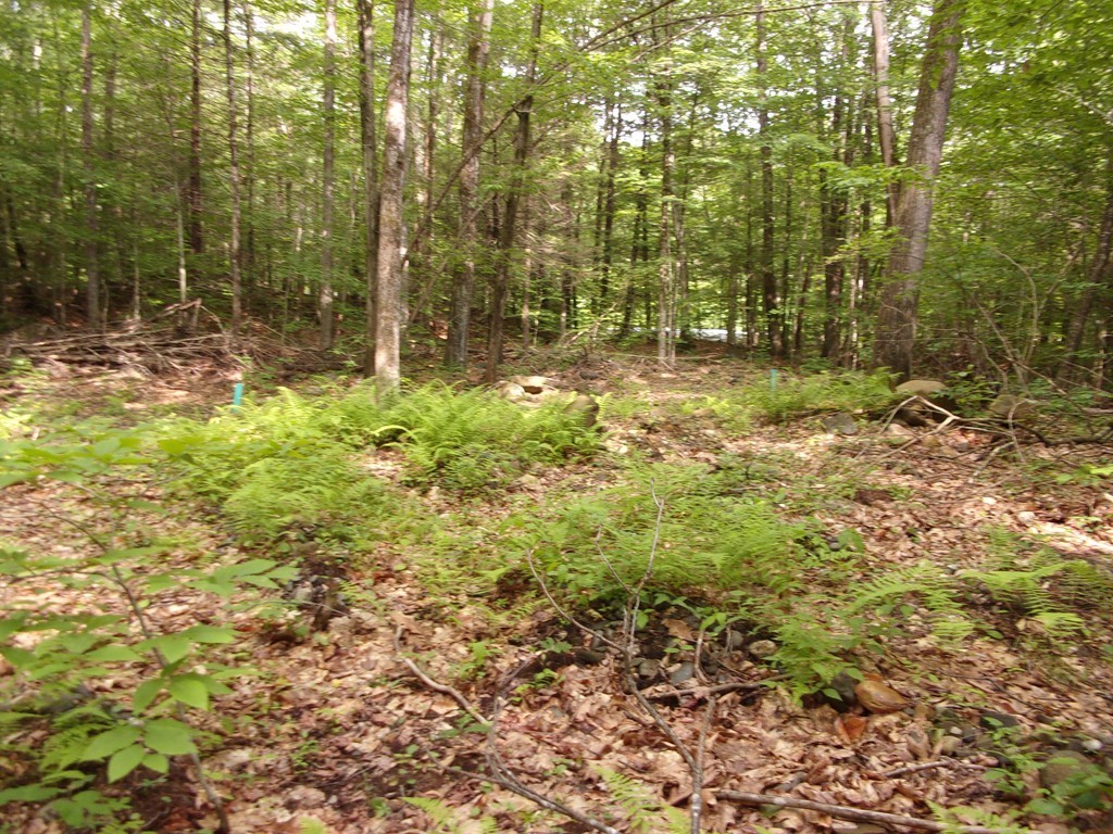 224 Worthington Road Huntington, MA 01050 - Photo 17 of 19
