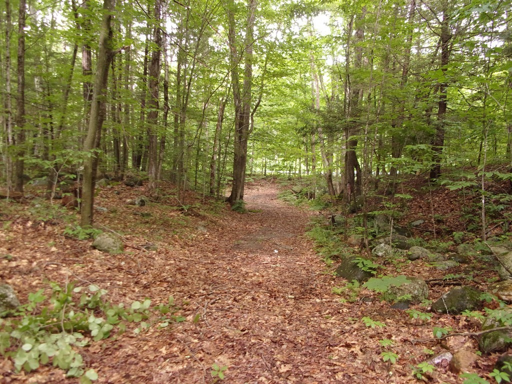 224 Worthington Road Huntington, MA 01050 - Photo 10 of 19