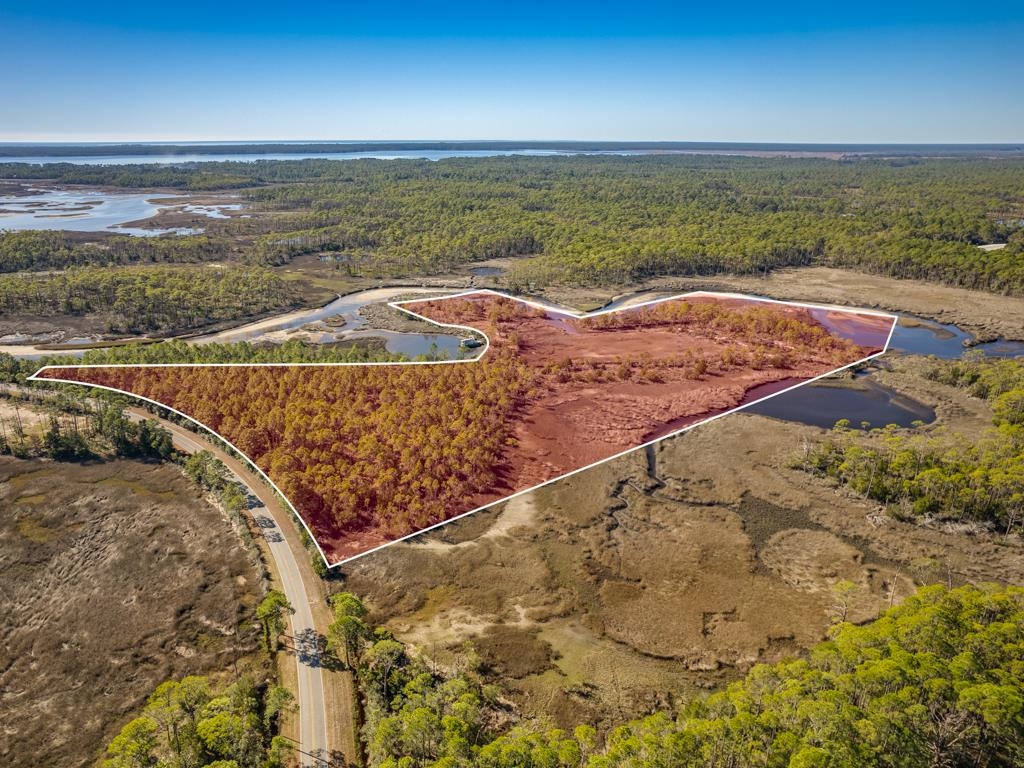 Xx Levy Bay Road Panacea, FL 32346 - Photo 11 of 26