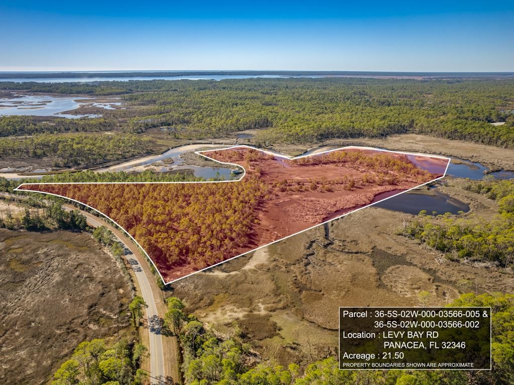 Xx Levy Bay Road Panacea, FL 32346 - Photo 12 of 26