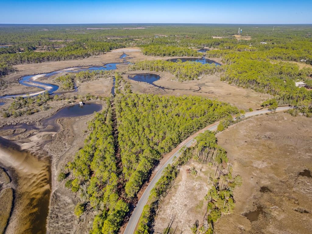 Xx Levy Bay Road Panacea, FL 32346 - Photo 13 of 26