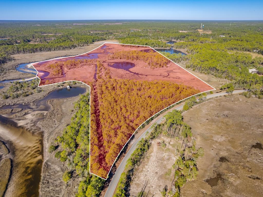 Xx Levy Bay Road Panacea, FL 32346 - Photo 14 of 26