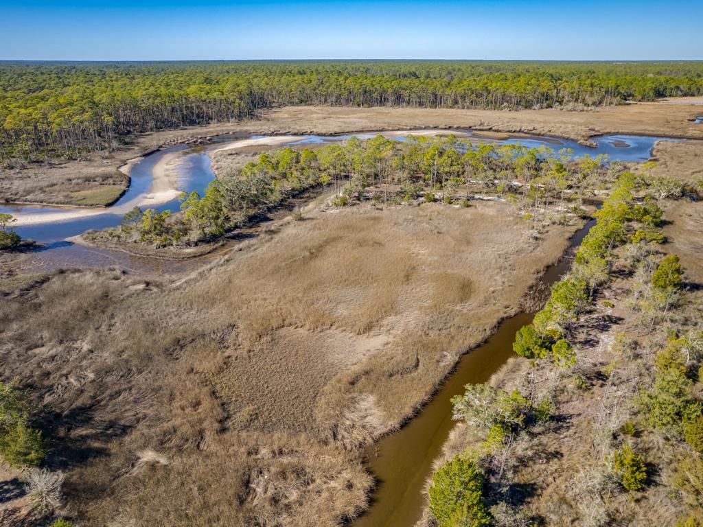 Xx Levy Bay Road Panacea, FL 32346 - Photo 15 of 26