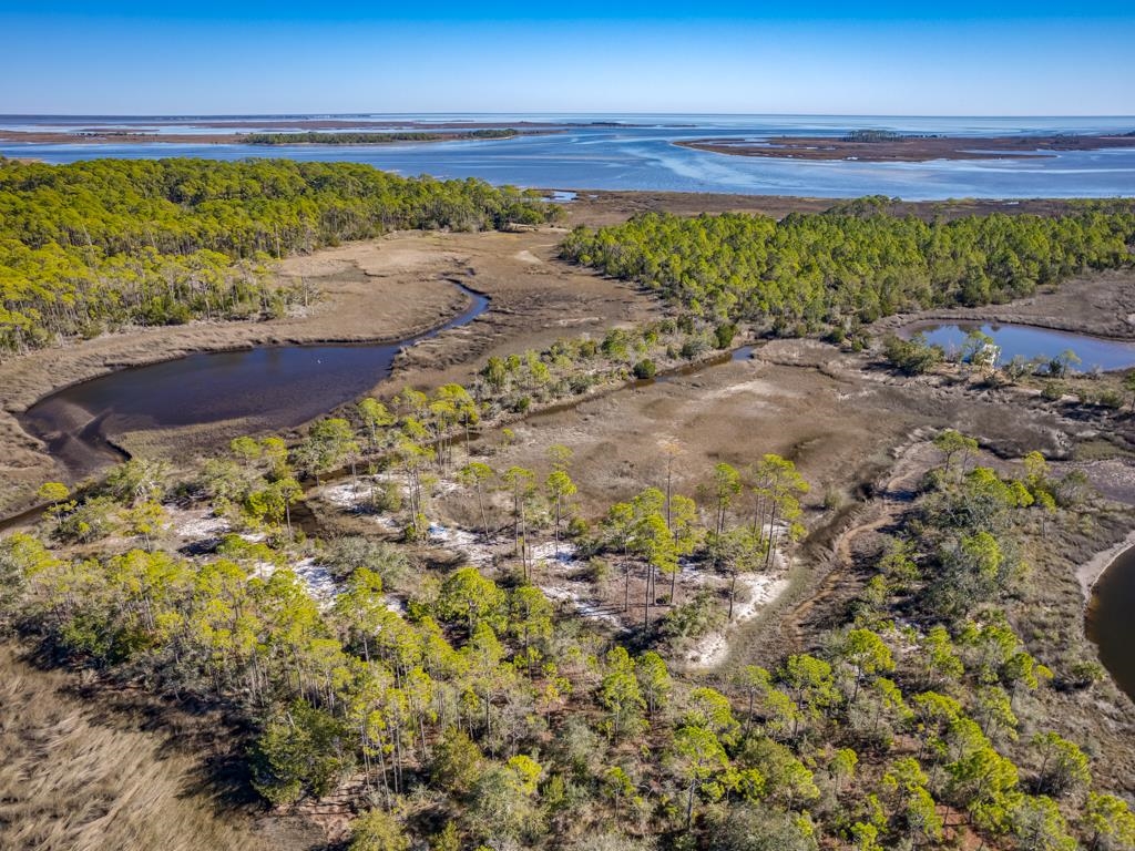 Xx Levy Bay Road Panacea, FL 32346 - Photo 16 of 26