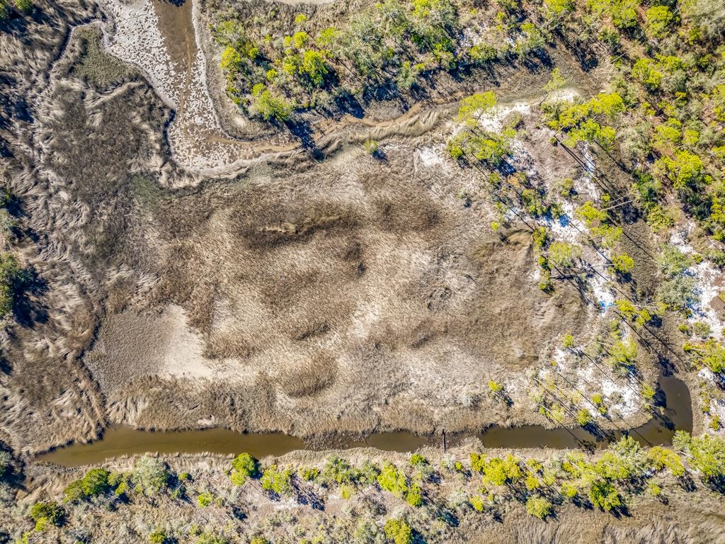 Xx Levy Bay Road Panacea, FL 32346 - Photo 17 of 26