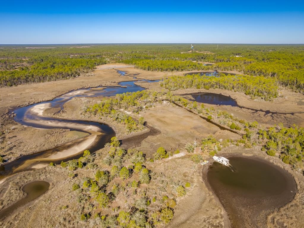 Xx Levy Bay Road Panacea, FL 32346 - Photo 18 of 26