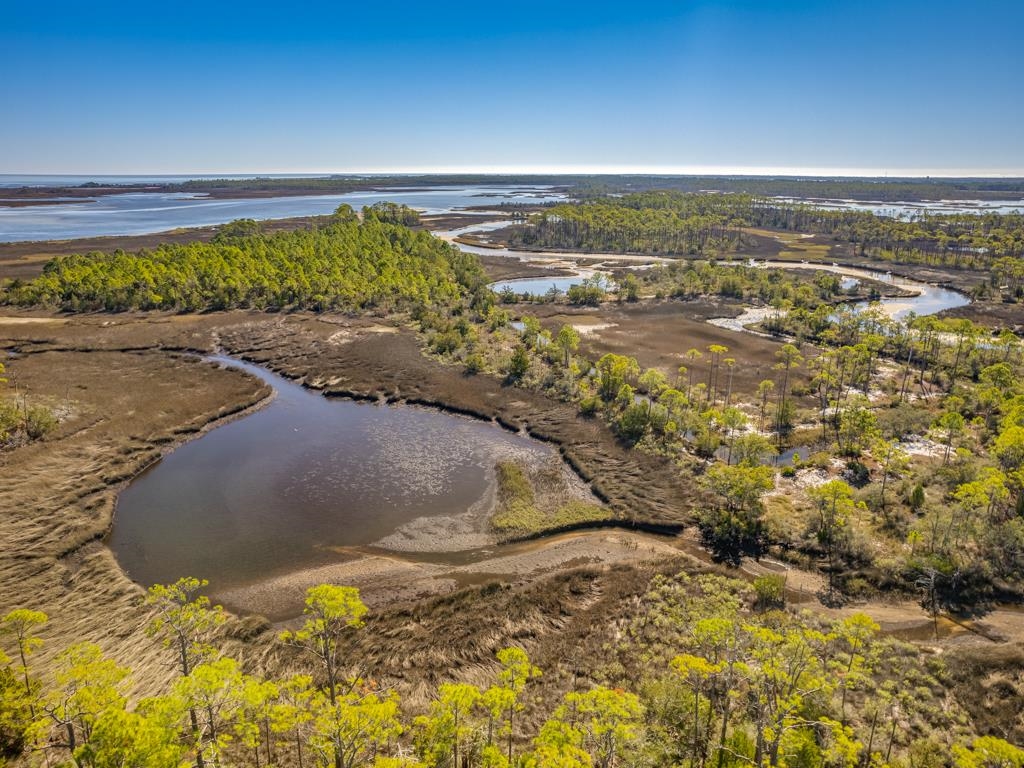 Xx Levy Bay Road Panacea, FL 32346 - Photo 20 of 26