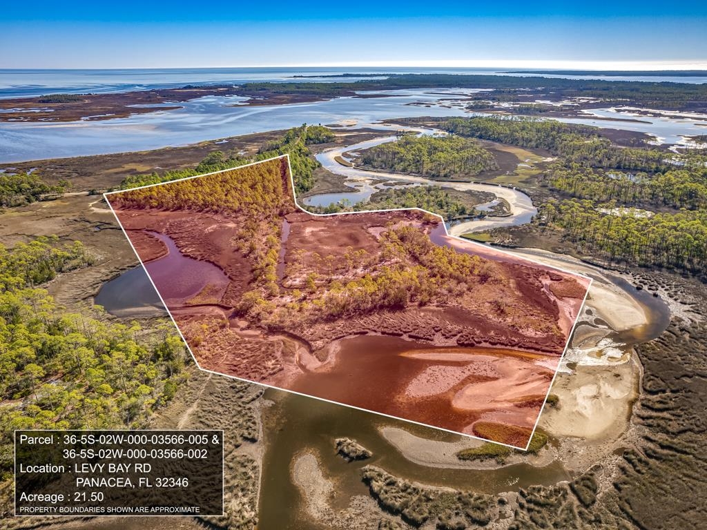 Xx Levy Bay Road Panacea, FL 32346 - Photo 2 of 26