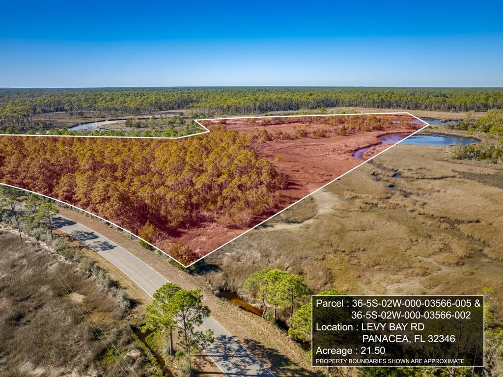 Xx Levy Bay Road Panacea, FL 32346 - Photo 22 of 26