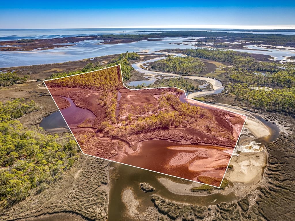 Xx Levy Bay Road Panacea, FL 32346 - Photo 23 of 26